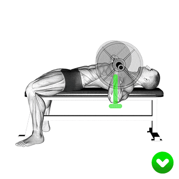 Bankdrücken Arm-Position