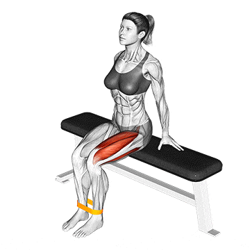 Beinstrecken mit dem Theraband