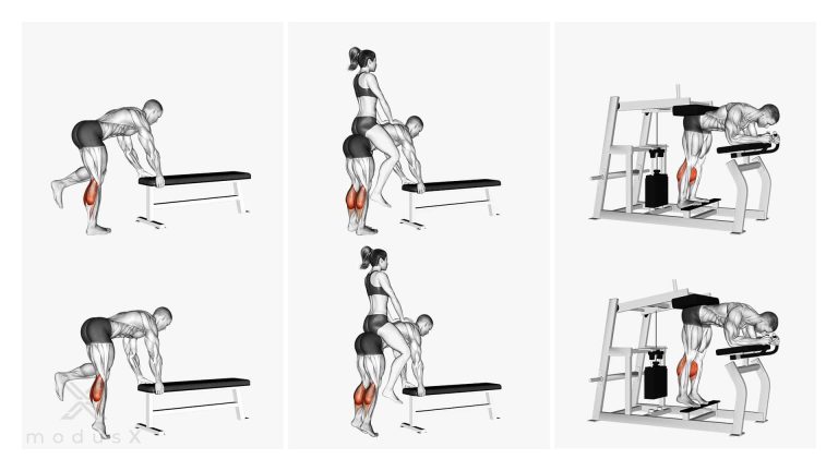 Donkey Calf Raises / Donkey Wadenheben