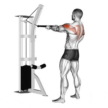 Face Pulls am Kabelzug