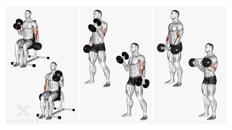 Hammer Curls