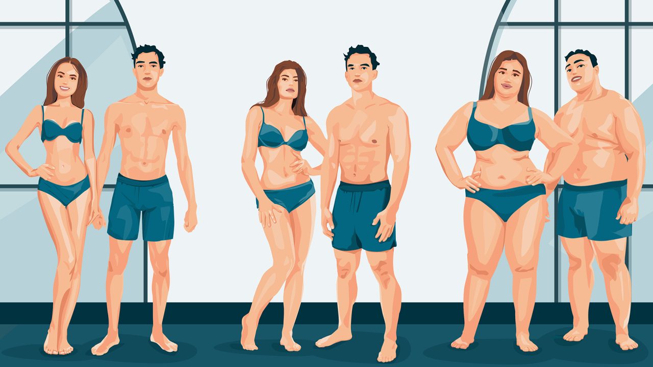 Körpertypen Übersicht. Ectomorph, Mesomorph, Endomorph