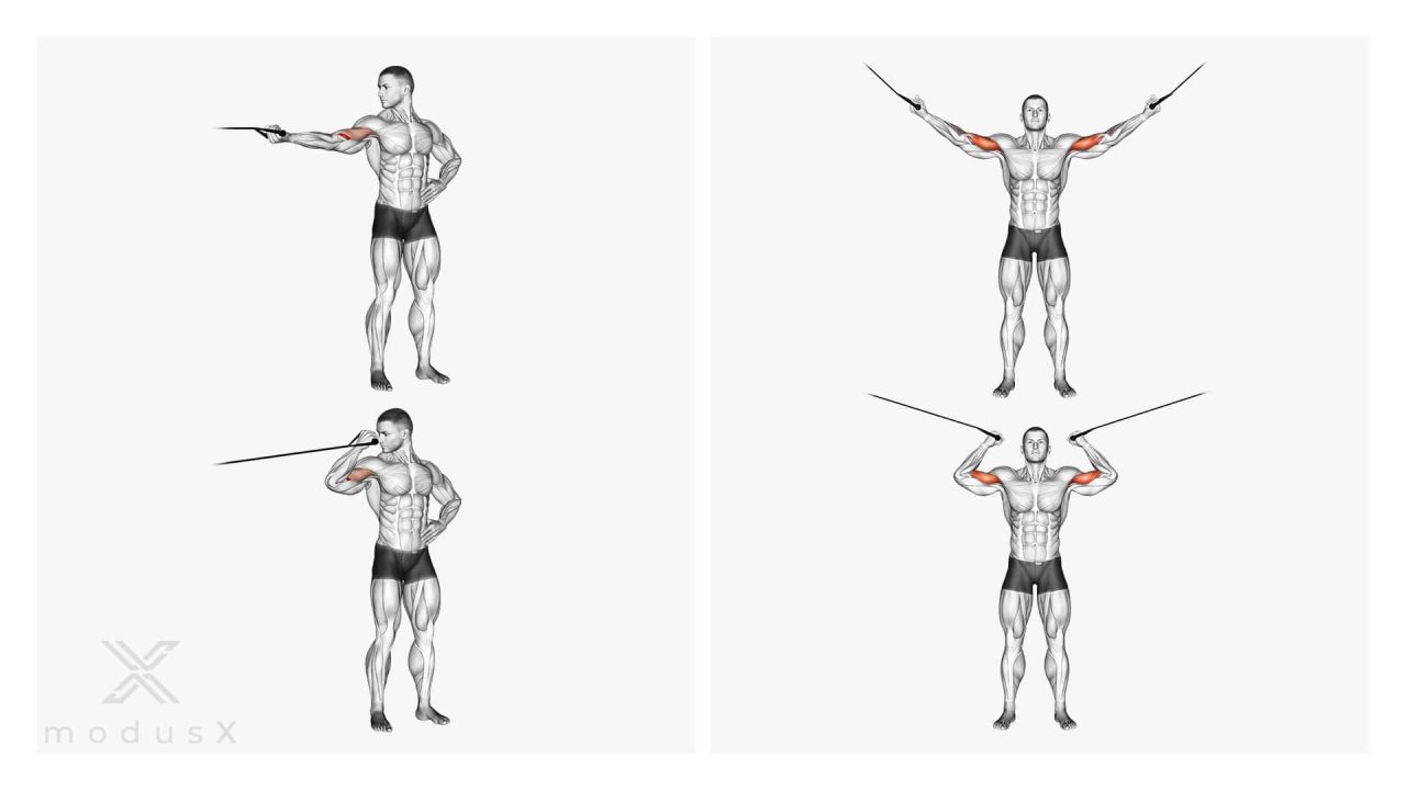 Overhead Bizeps Curls am hohen Block